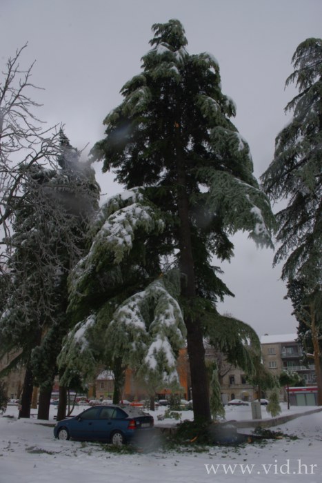 Metkovic (58)